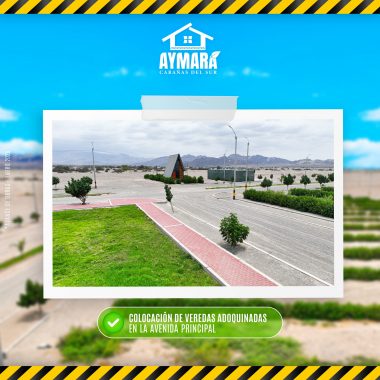 obraMesa de trabajo 1 copia 5@3x-100