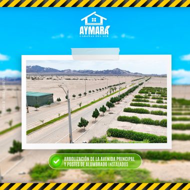 obraMesa de trabajo 1 copia 9@3x-100